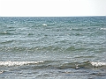 Western Michigan [2010] 882